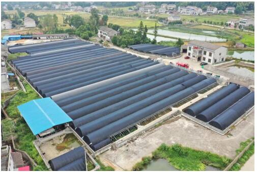 益阳桃江成功创建国家级水产健康养殖和生态养殖示范区